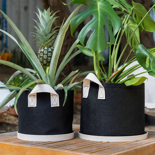 Cloth Pots with Bamboo Bases